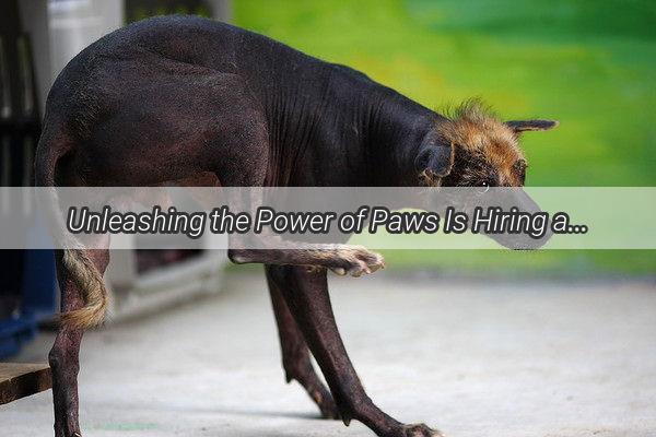 Unleashing the Power of Paws Is Hiring a Dog to Untangle Knots Worth the Cost